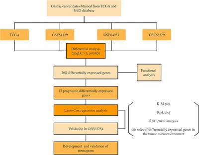 Identification of a six-gene signature to predict survival and immunotherapy effectiveness of gastric cancer